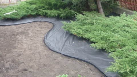 Agrowłóknina Czarna P-50 UV 1,6m x 500mb AgroPol